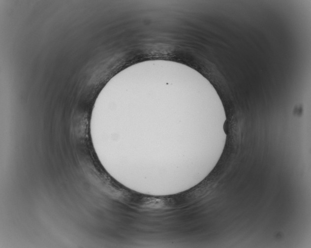 X0000108480083200904241310