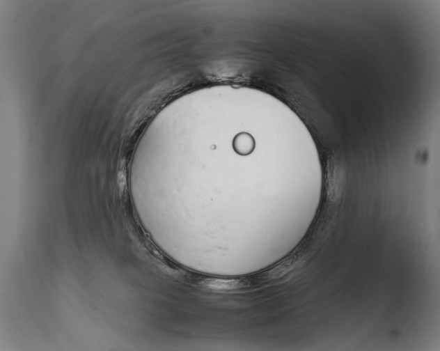 X0000108480085200904241311