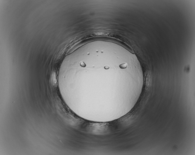 X0000108480089200904241311