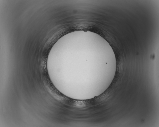 X0000108480091200904241311