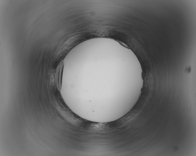 X0000108480092200904241311