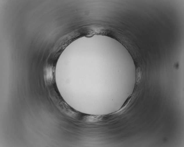 X0000108480094200904241311