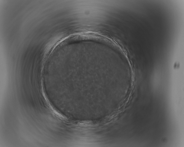 X0000108480097200904241310