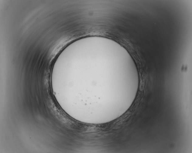 X0000108480098200904241310