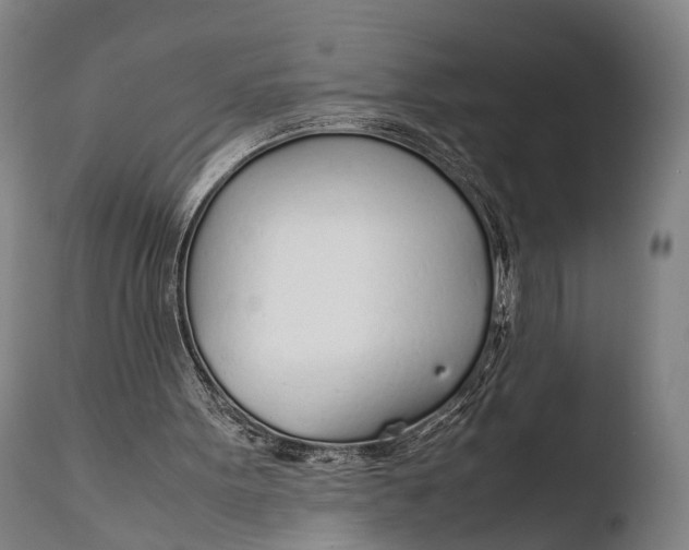 X0000108480099200904241310