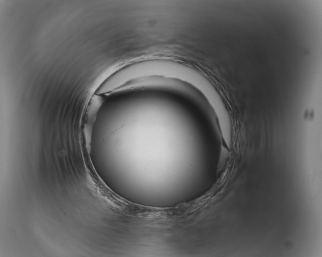 X0000108480100200904241310