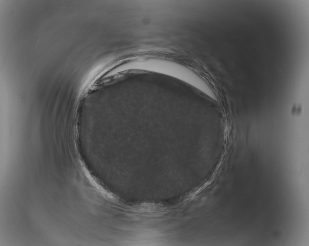 X0000108480101200904241310