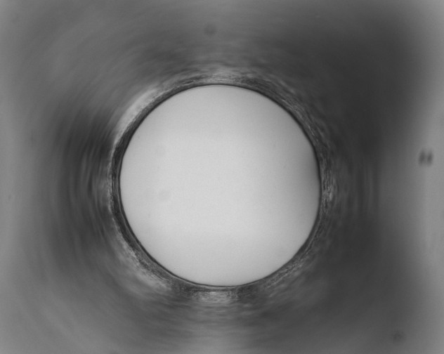 X0000108480102200904241310