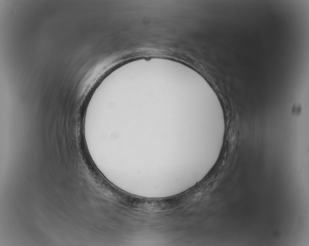 X0000108480103200904241310