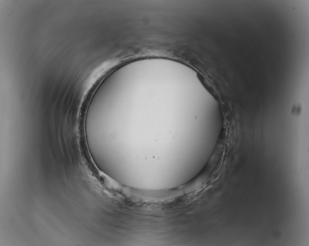 X0000108480104200904241310