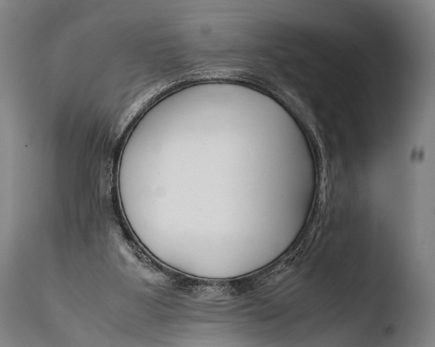 X0000108480107200904241310