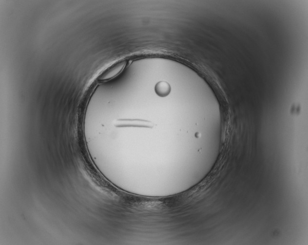 X0000108480108200904241310
