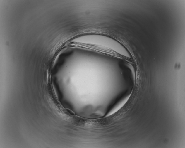X0000108480109200904241310