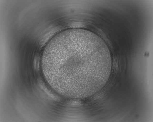 X0000108480110200904241310