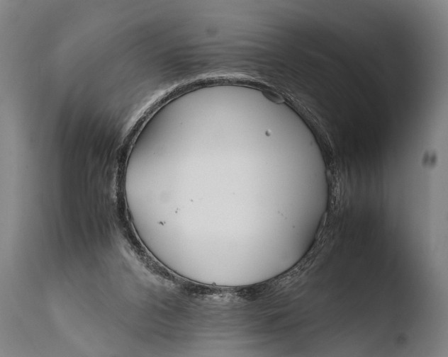 X0000108480112200904241310