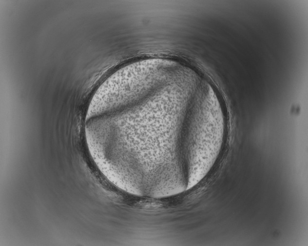 X0000108480113200904241310
