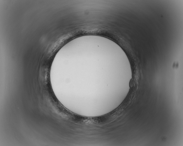 X0000108480115200904241310