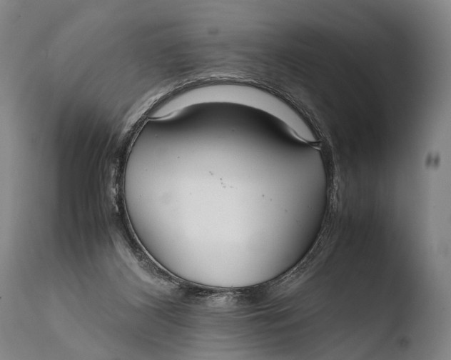 X0000108480116200904241310