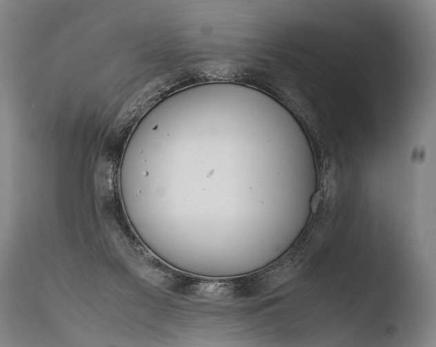 X0000108480117200904241310