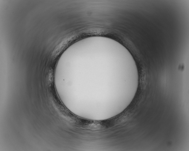X0000108480119200904241310