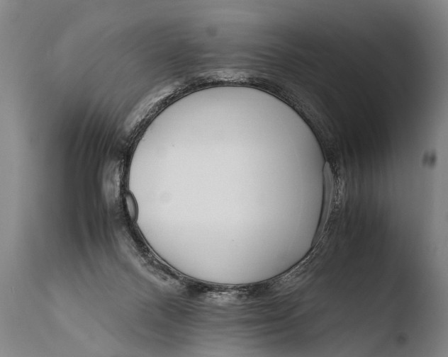 X0000108480120200904241310