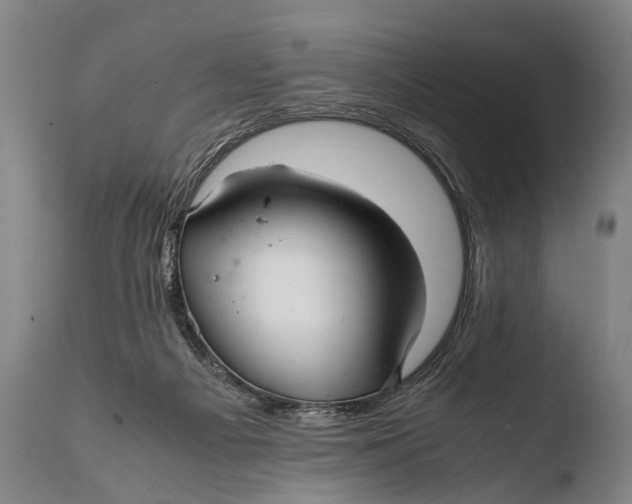 X0000108480121200904241310
