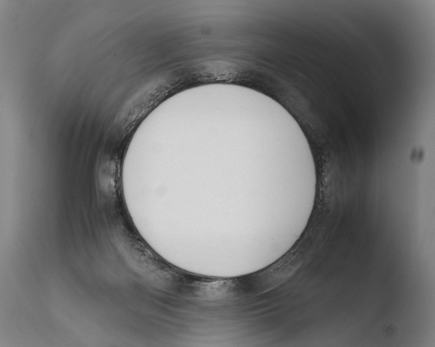 X0000108480122200904241309