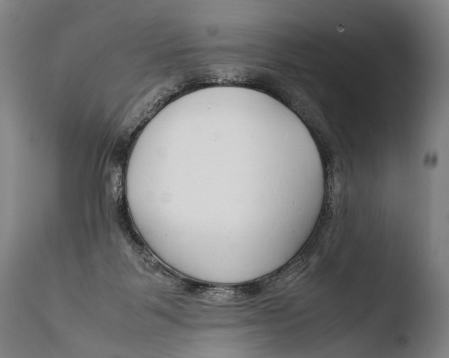 X0000108480123200904241309