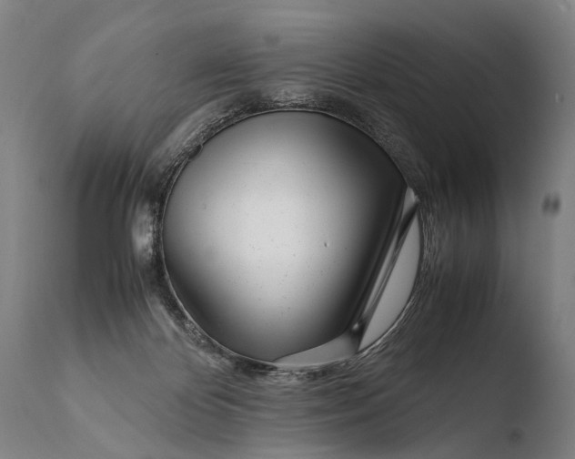 X0000108480124200904241309