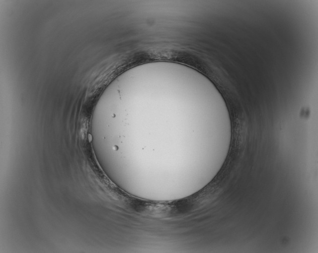 X0000108480125200904241309