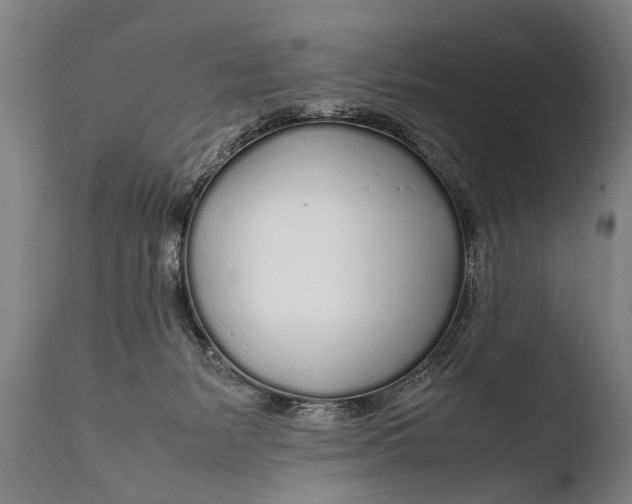 X0000108480127200904241309