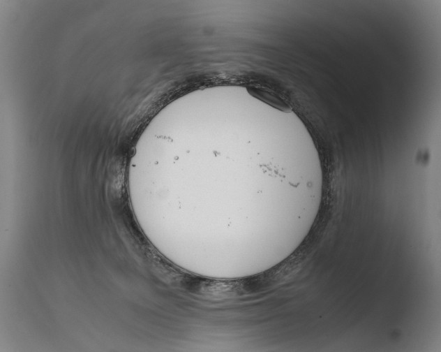 X0000108480129200904241309