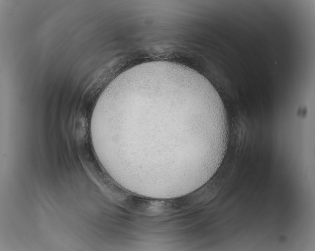 X0000108480130200904241309