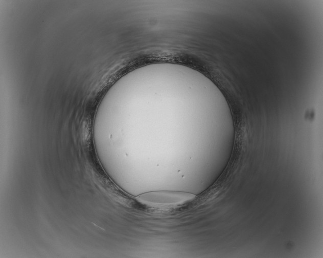 X0000108480131200904241309
