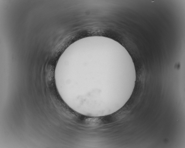 X0000108480133200904241309