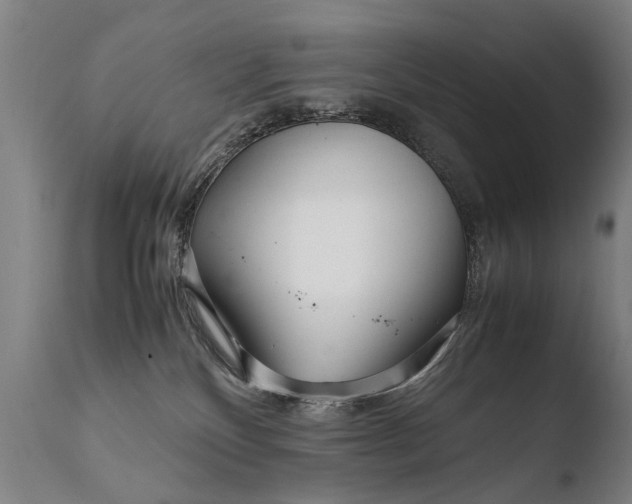 X0000108480136200904241309