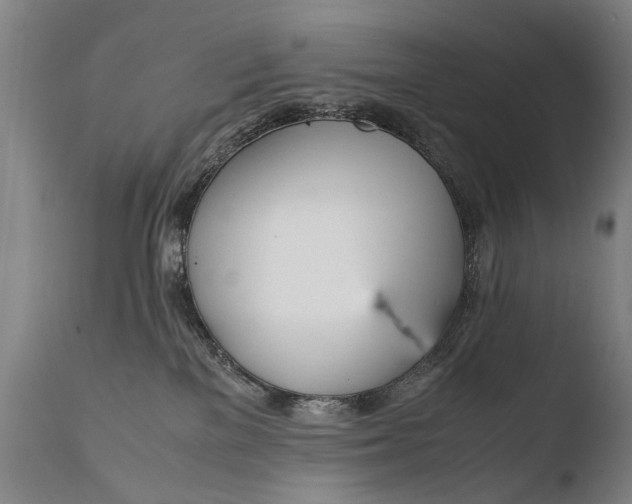 X0000108480137200904241309