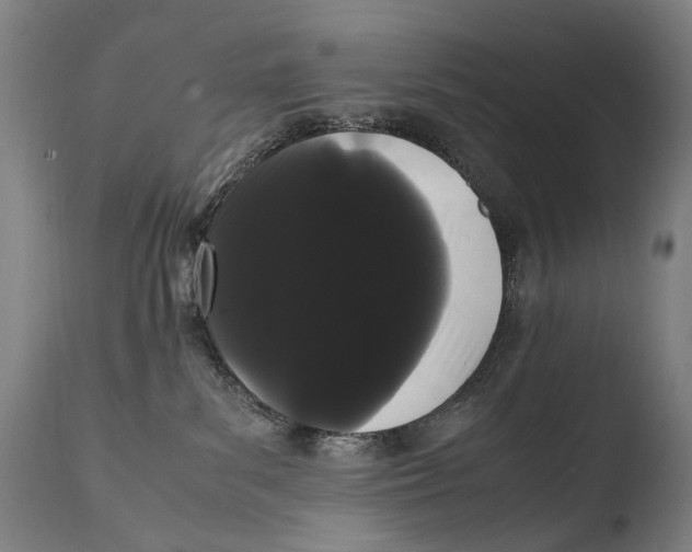 X0000108480139200904241309