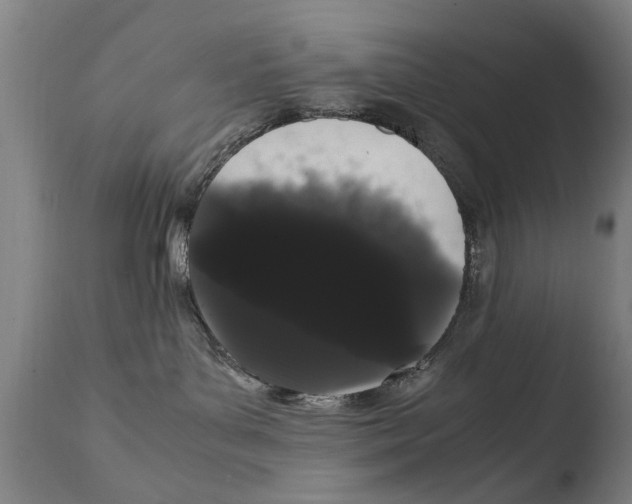 X0000108480143200904241309