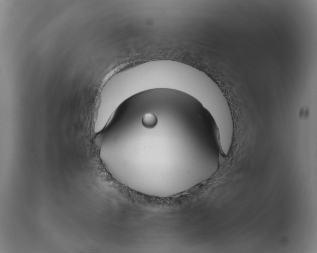 X0000108480144200904241309