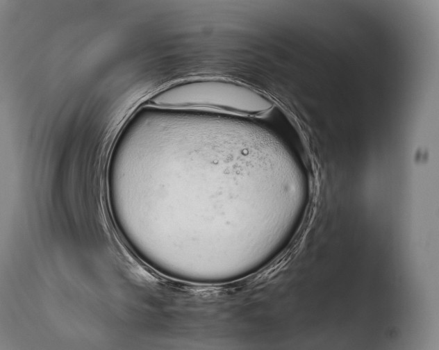 X0000108480145200904241308