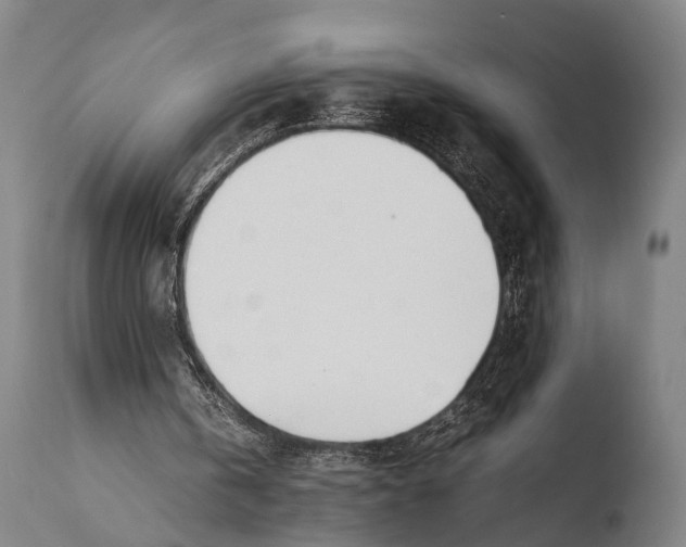 X0000108480146200904241308