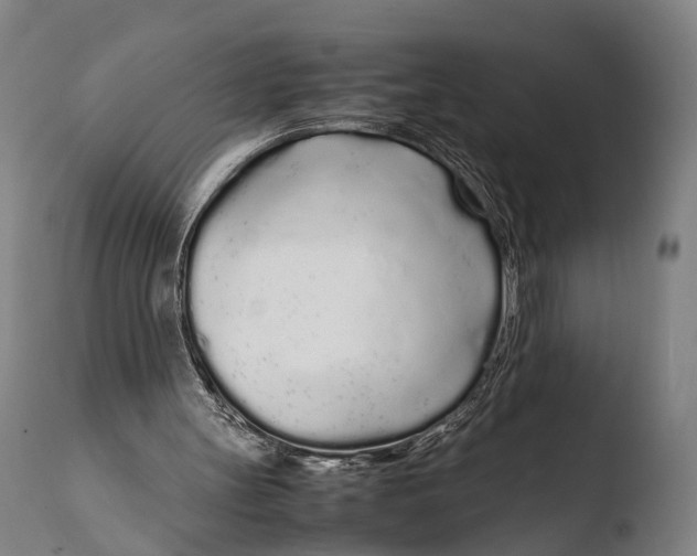 X0000108480147200904241308