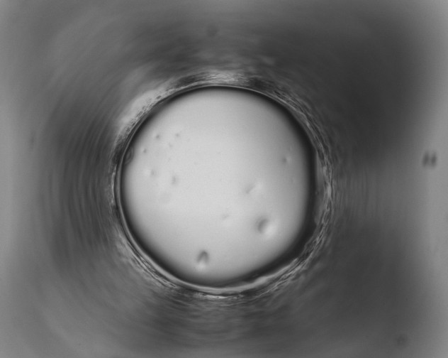 X0000108480149200904241308