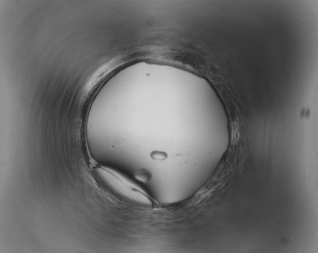 X0000108480150200904241308