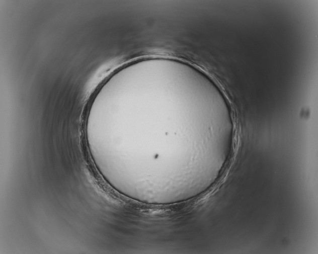 X0000108480151200904241308