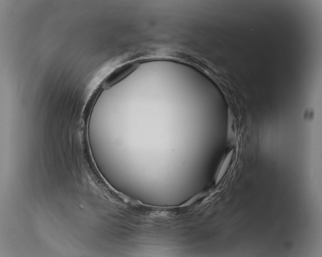 X0000108480152200904241308