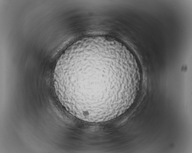 X0000108480153200904241308