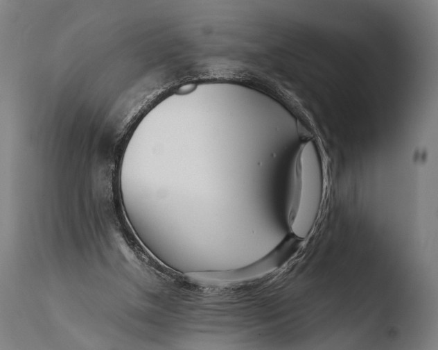 X0000108480154200904241308
