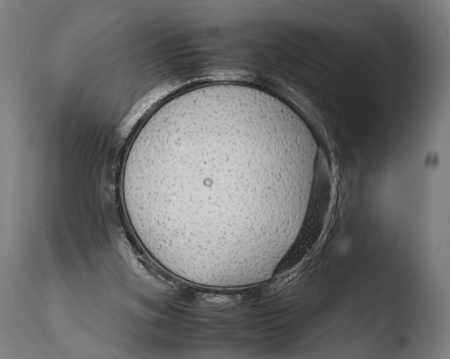 X0000108480155200904241308
